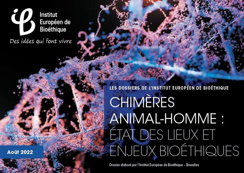 Chimères animal-homme : état des lieux et enjeux bioéthiques
